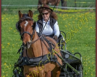 1POSIEUX 0189